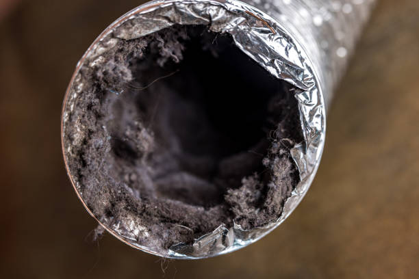 Best Air Duct Cleaning Company Near Me  in Diand, MO