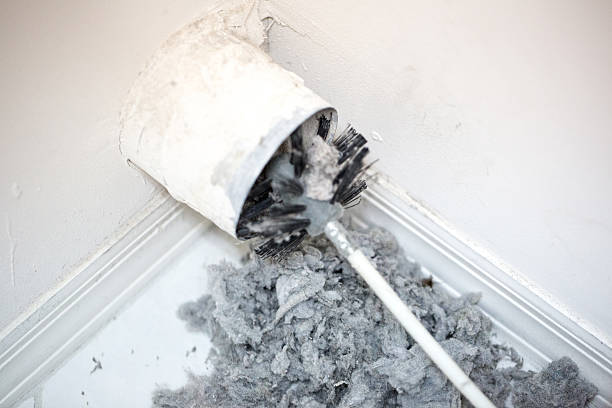 Best Dryer Vent Cleaning Services  in Diand, MO